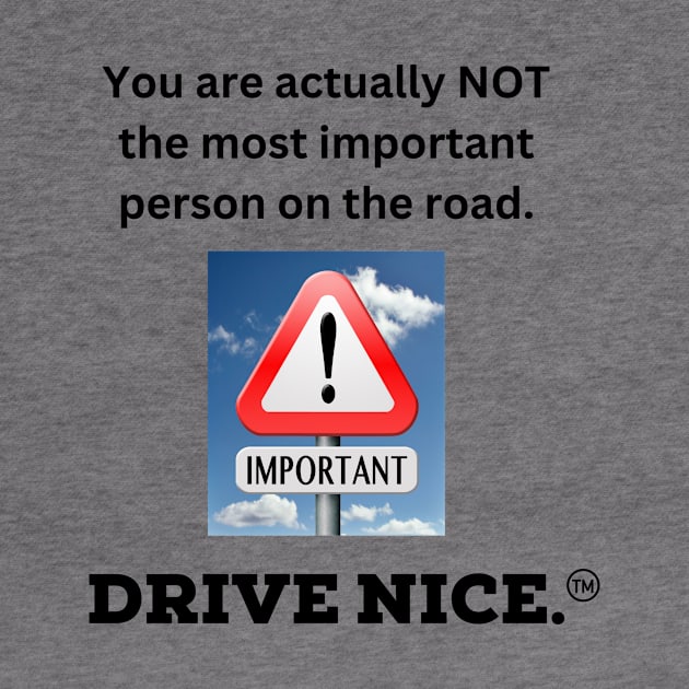 Drive nice, most important by TraciJ